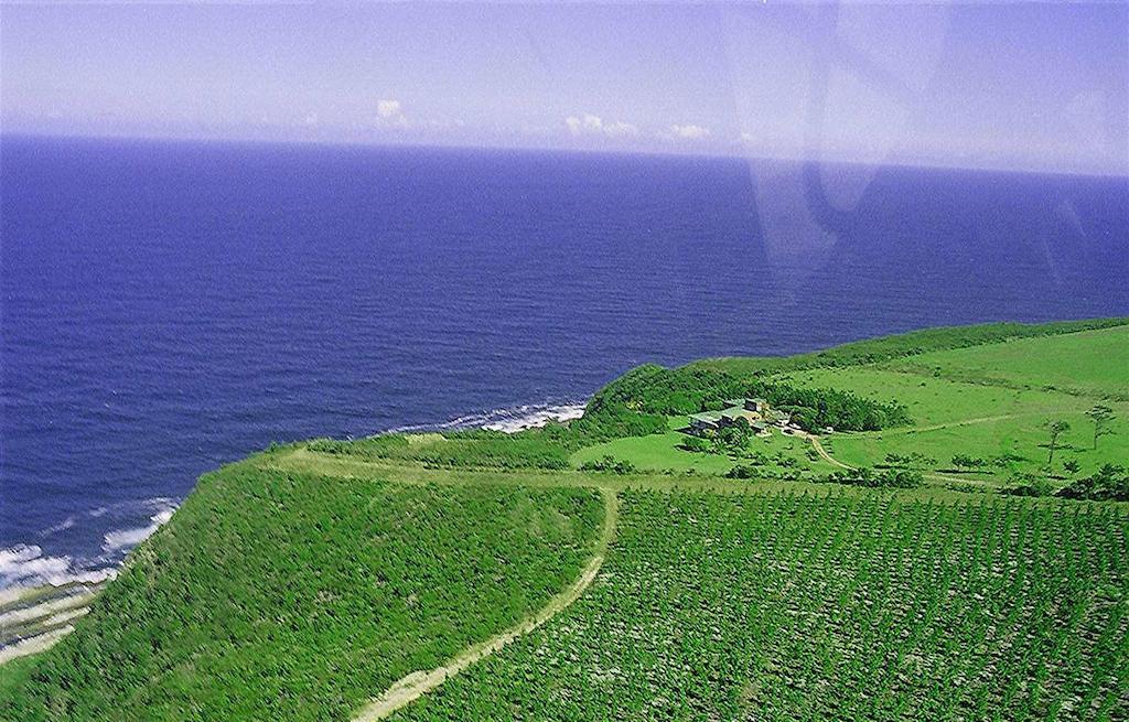 Tsitsikamma On Sea Otel Stormsrivier Dış mekan fotoğraf